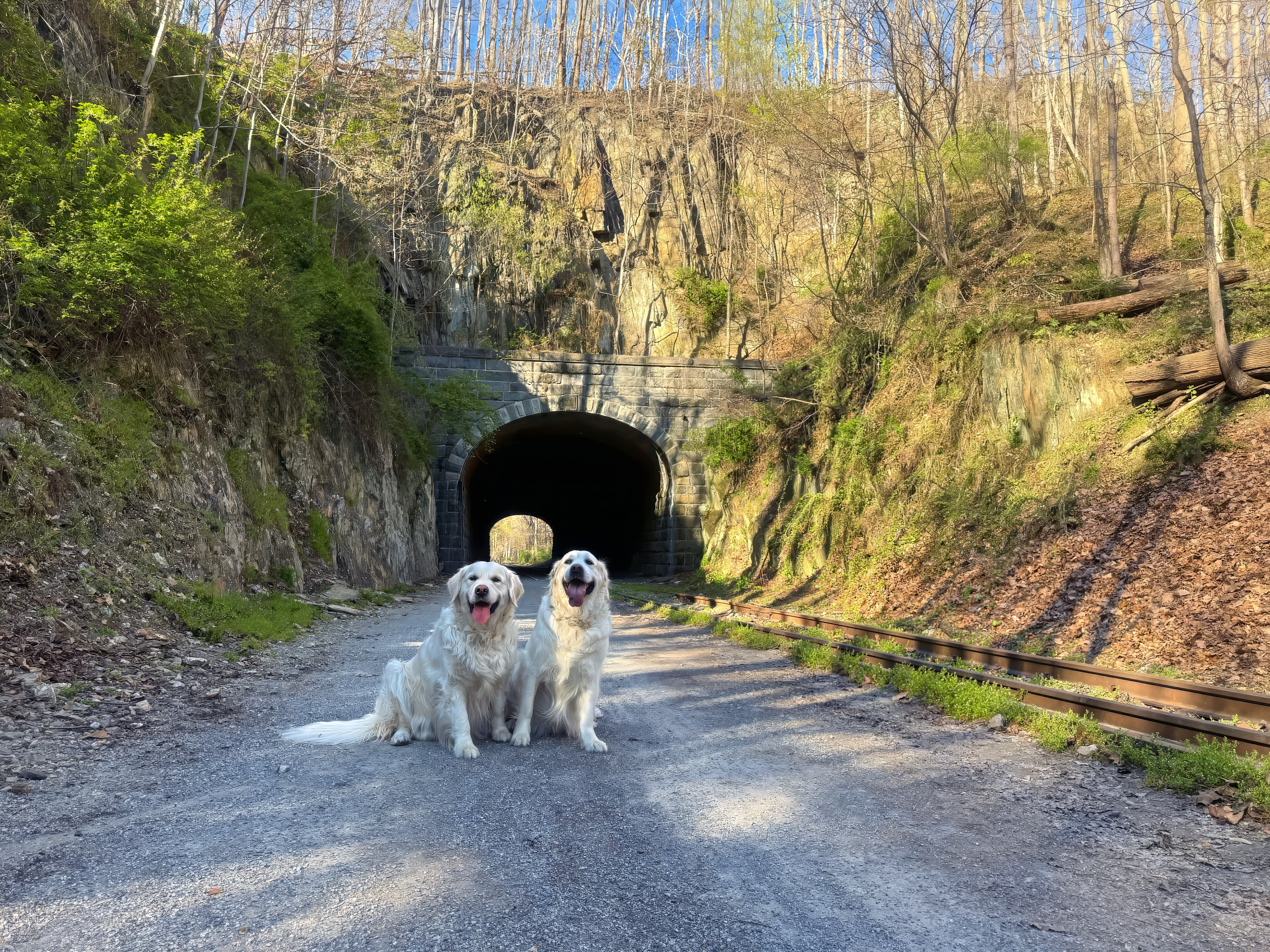 Sawyer and Theo at Howard Tunnel