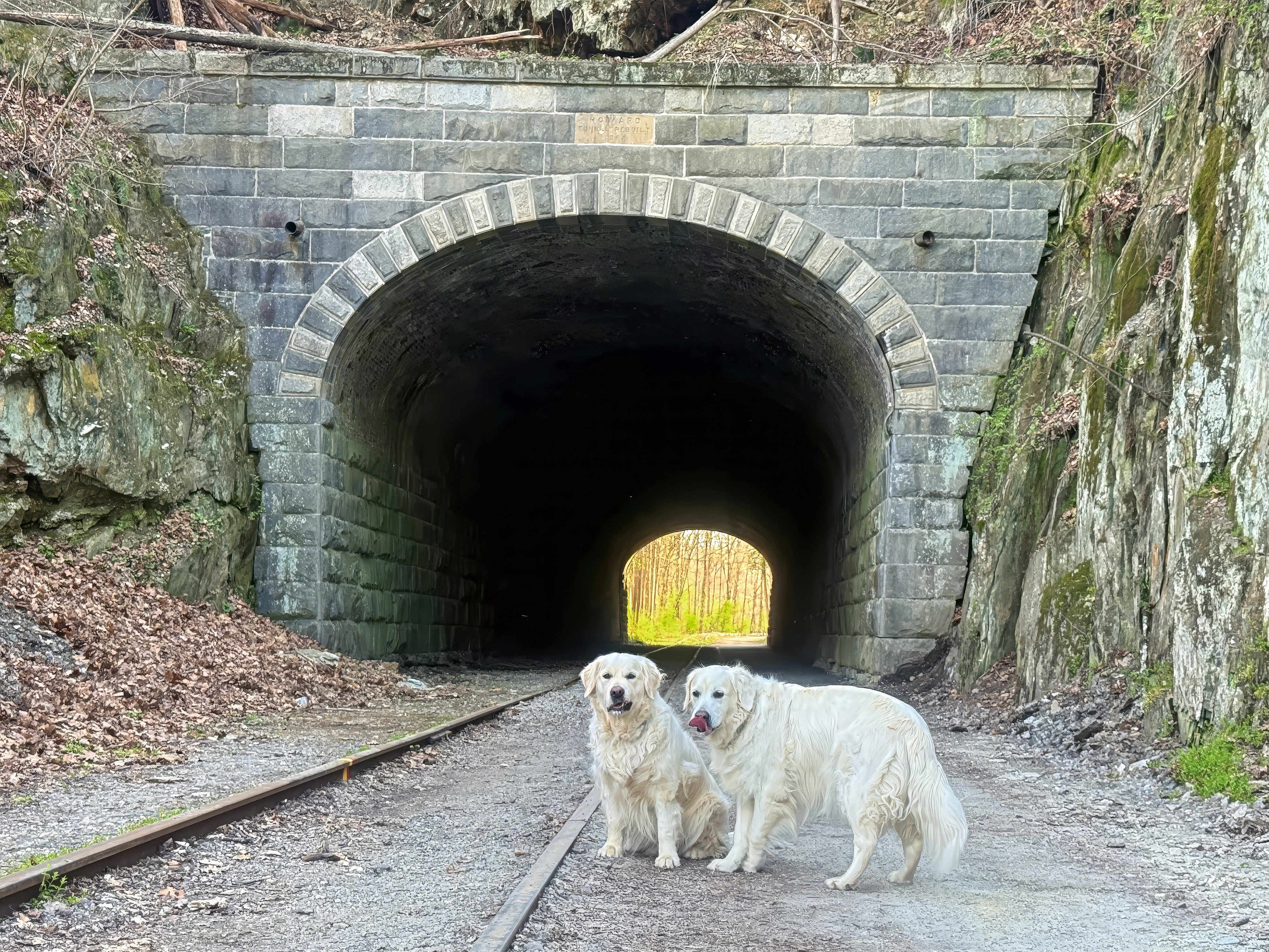 Howard Tunnel architecture