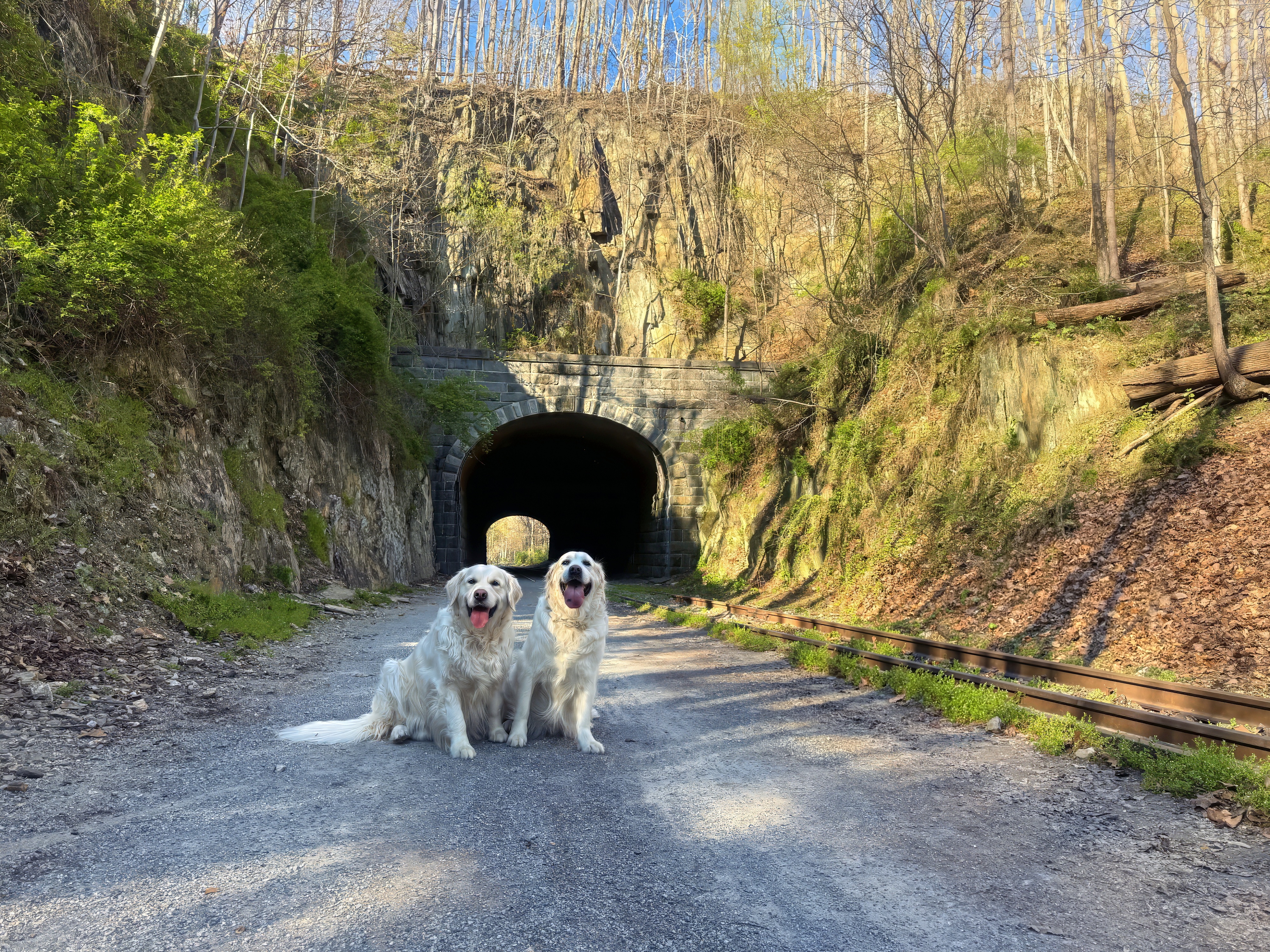 Sawyer and Theo at Howard Tunnel