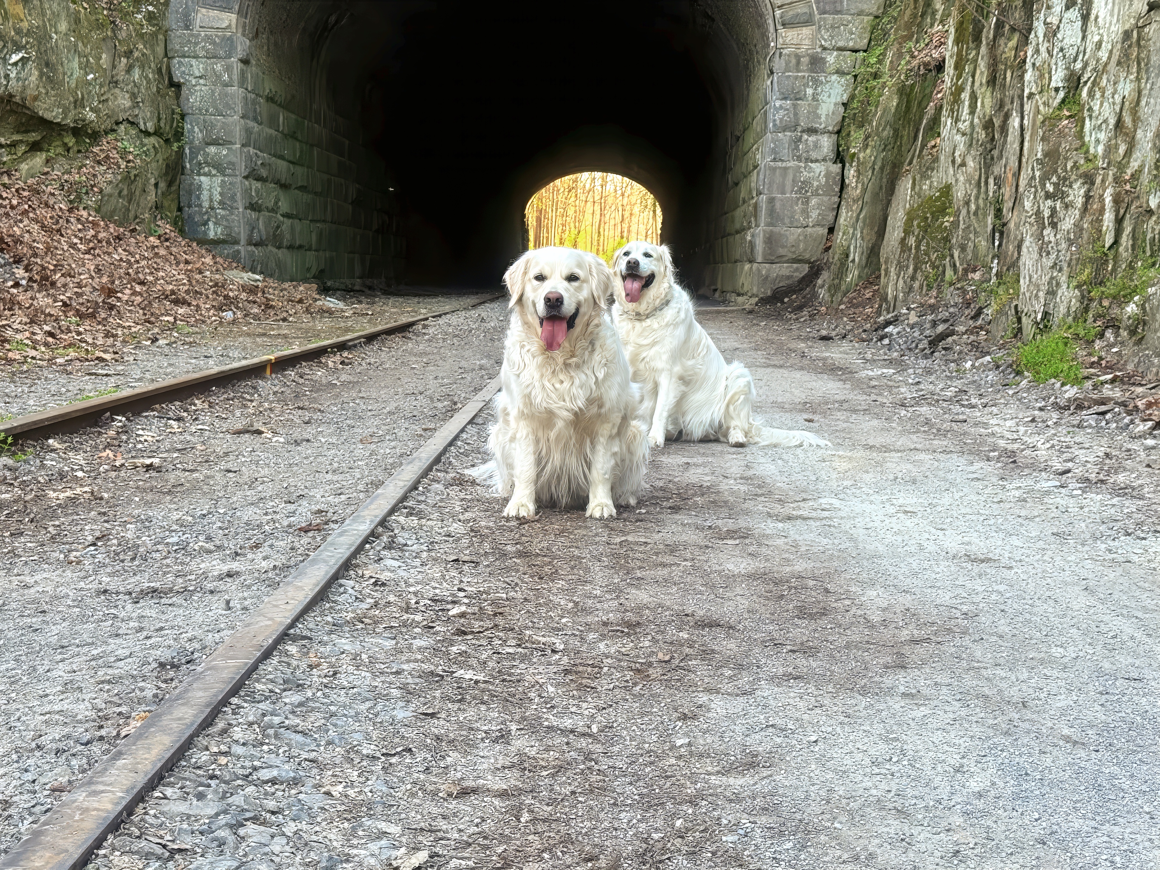 Inside Howard Tunnel looking out