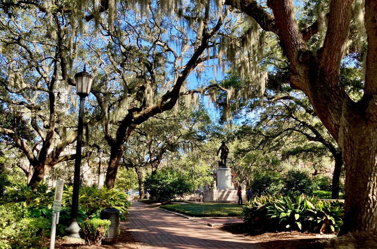 Savannah historic square with live oaks