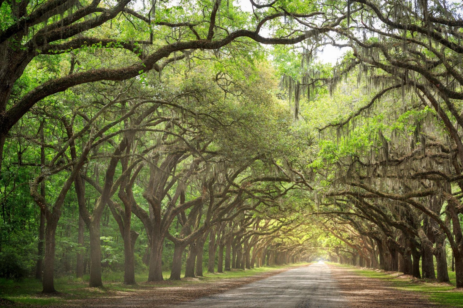 Savannah GA